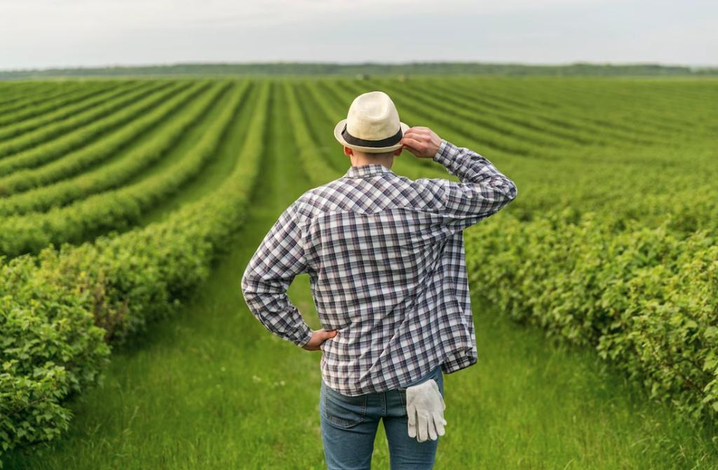Simbolizando autodeclaracao rural: Trabalhador rural de costas em uma grande plantação, segurando chapéu e vestido com camisa xadrez, calça jeans e luvas no bolso de trás